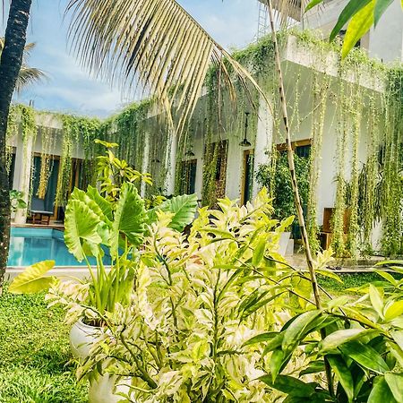 Eton Villa Dikwella Ngoại thất bức ảnh