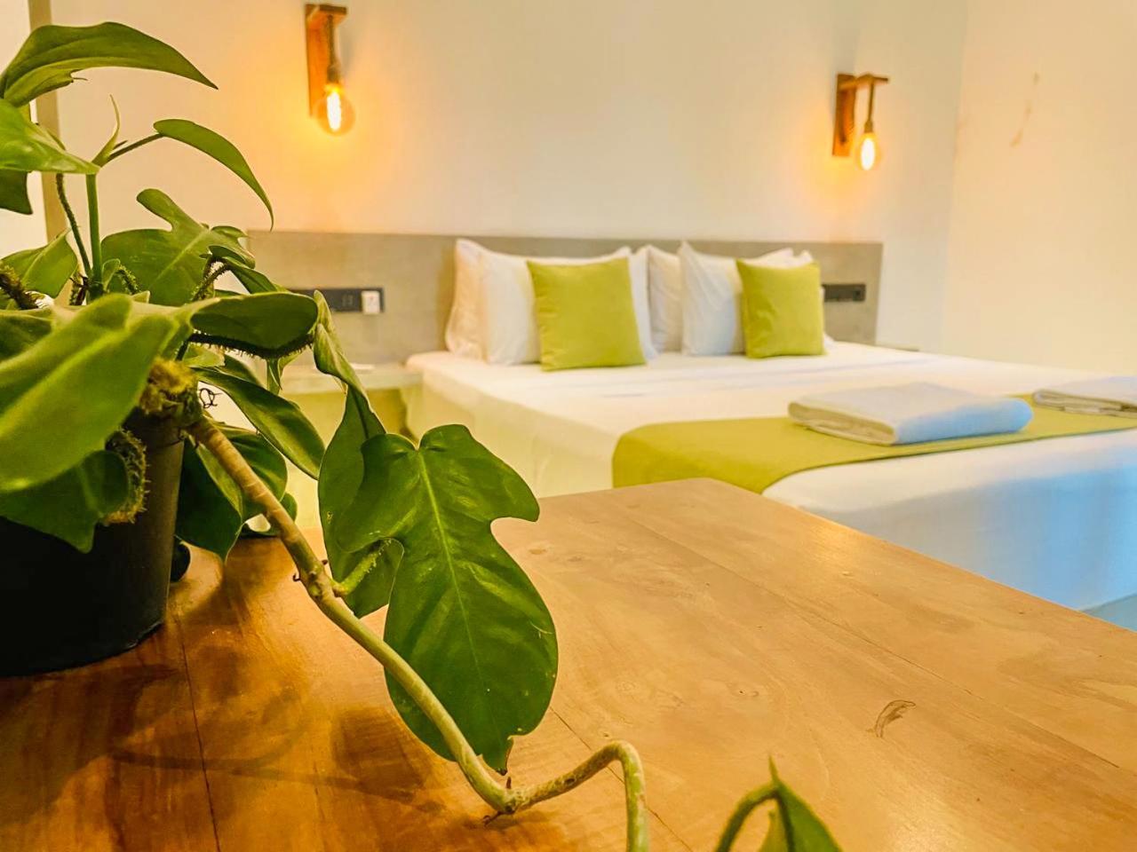 Eton Villa Dikwella Ngoại thất bức ảnh