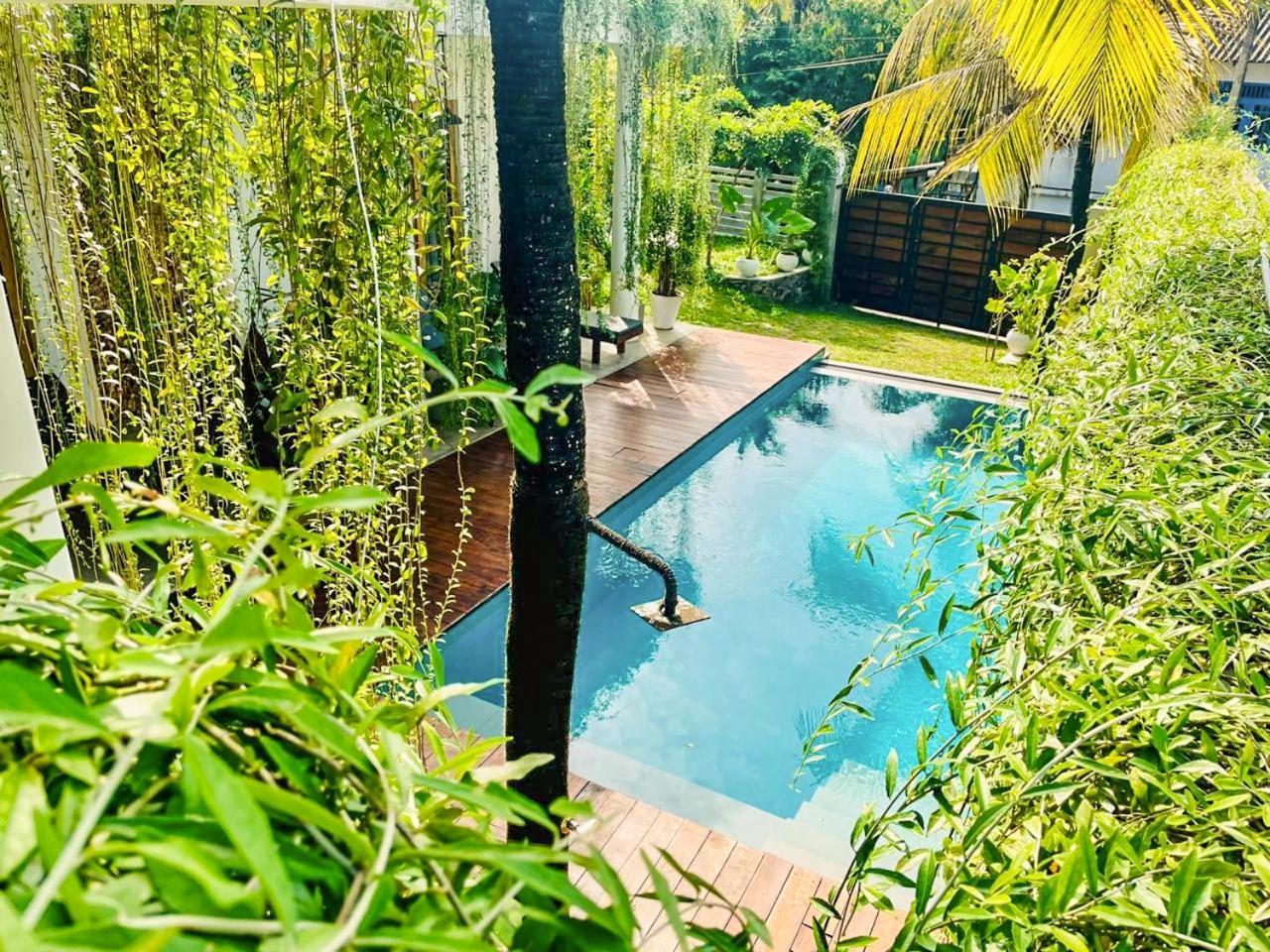 Eton Villa Dikwella Ngoại thất bức ảnh