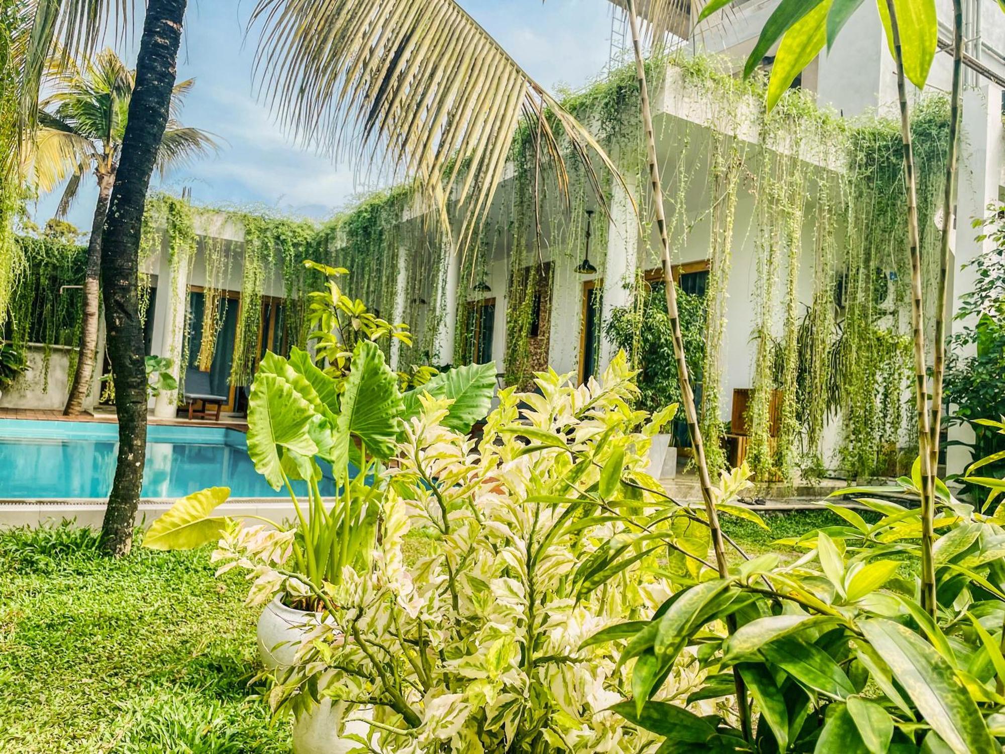 Eton Villa Dikwella Ngoại thất bức ảnh