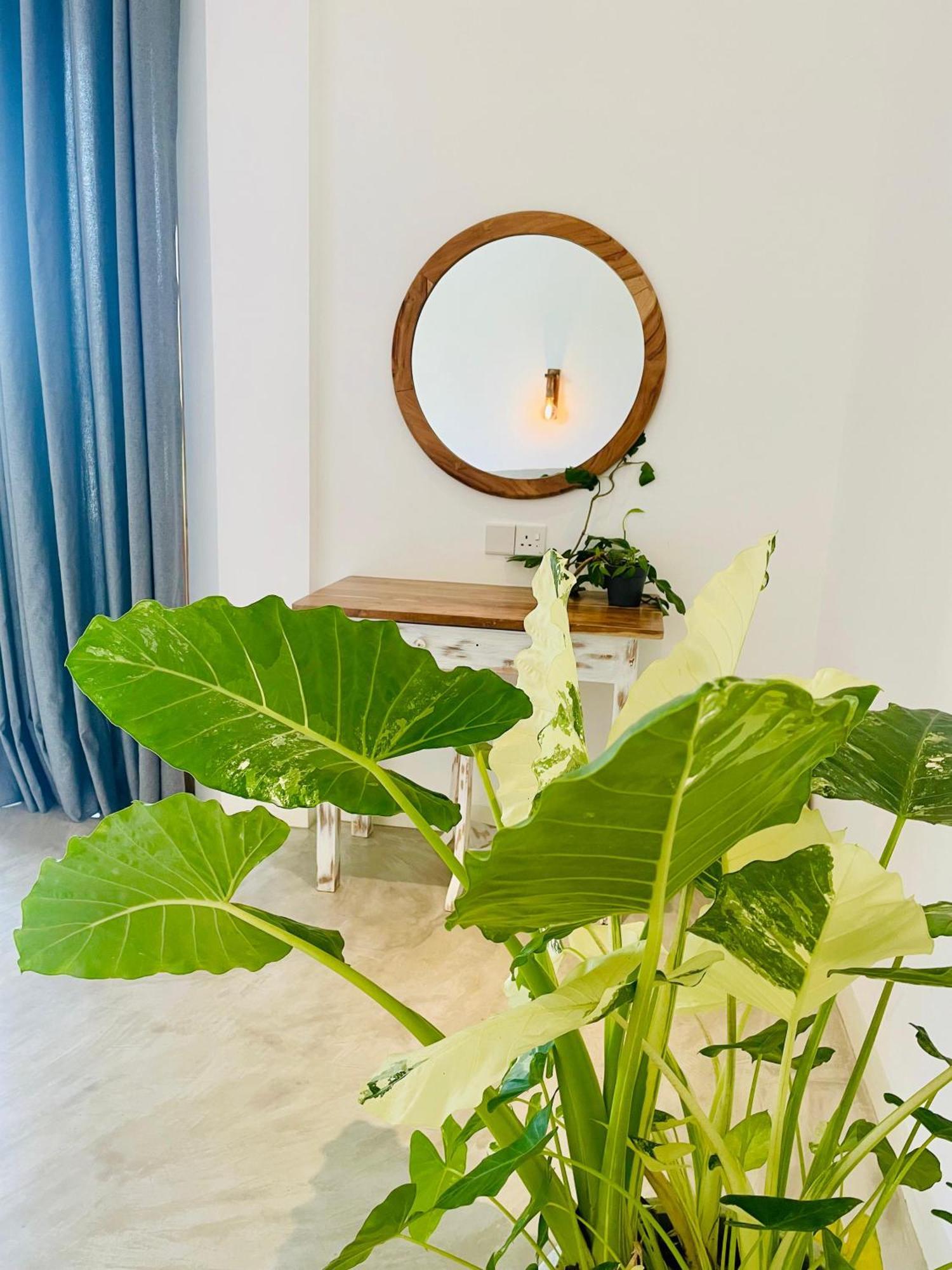Eton Villa Dikwella Ngoại thất bức ảnh